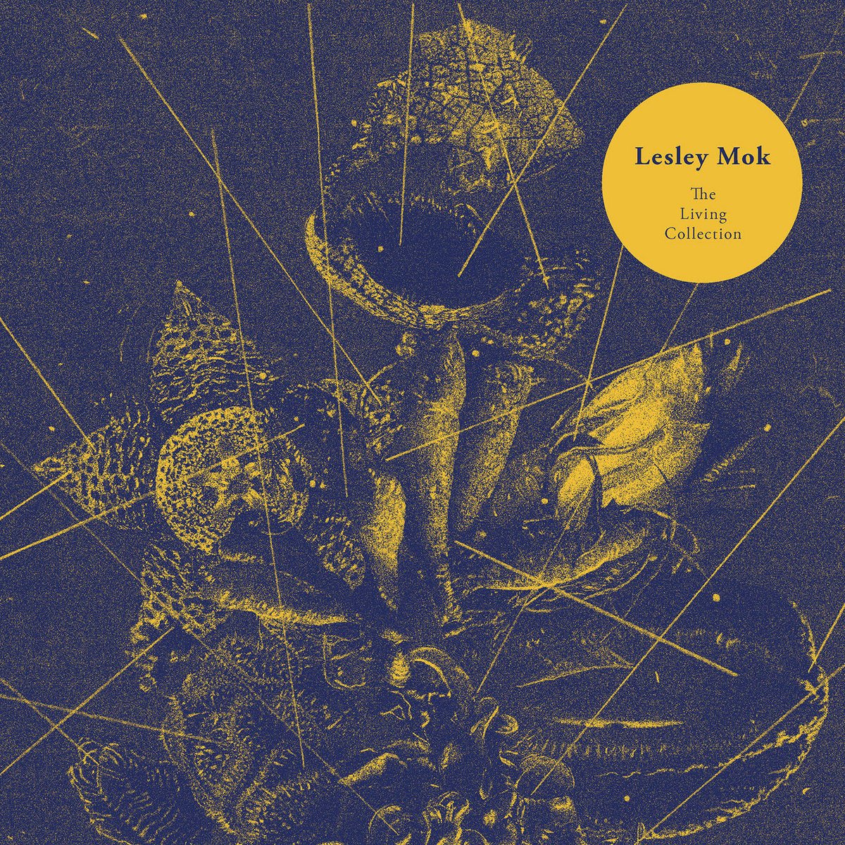 Lesley Mok — The Living Collection
