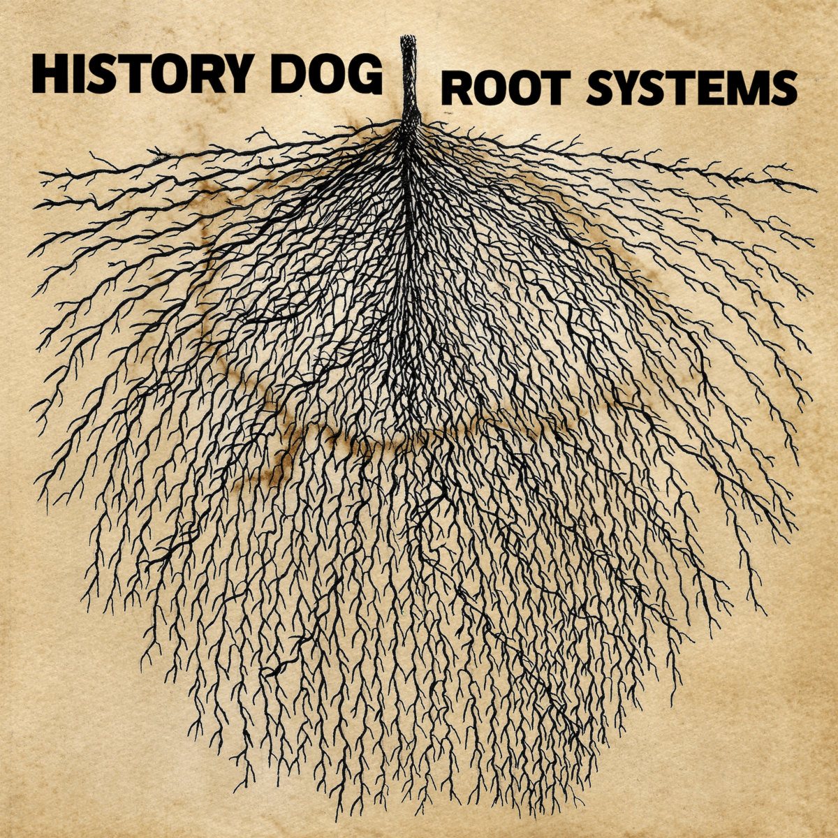 History Dog — Root Systems