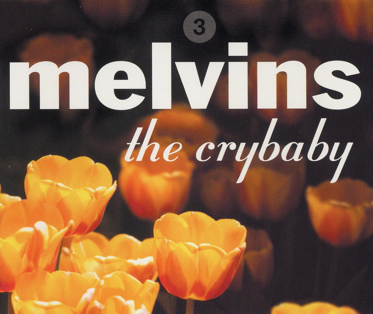 Melvins — The Crybaby