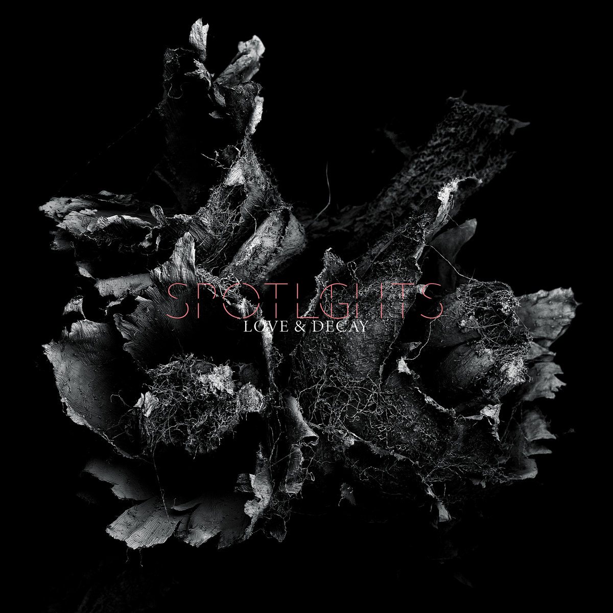 Spotlights — Love & Decay