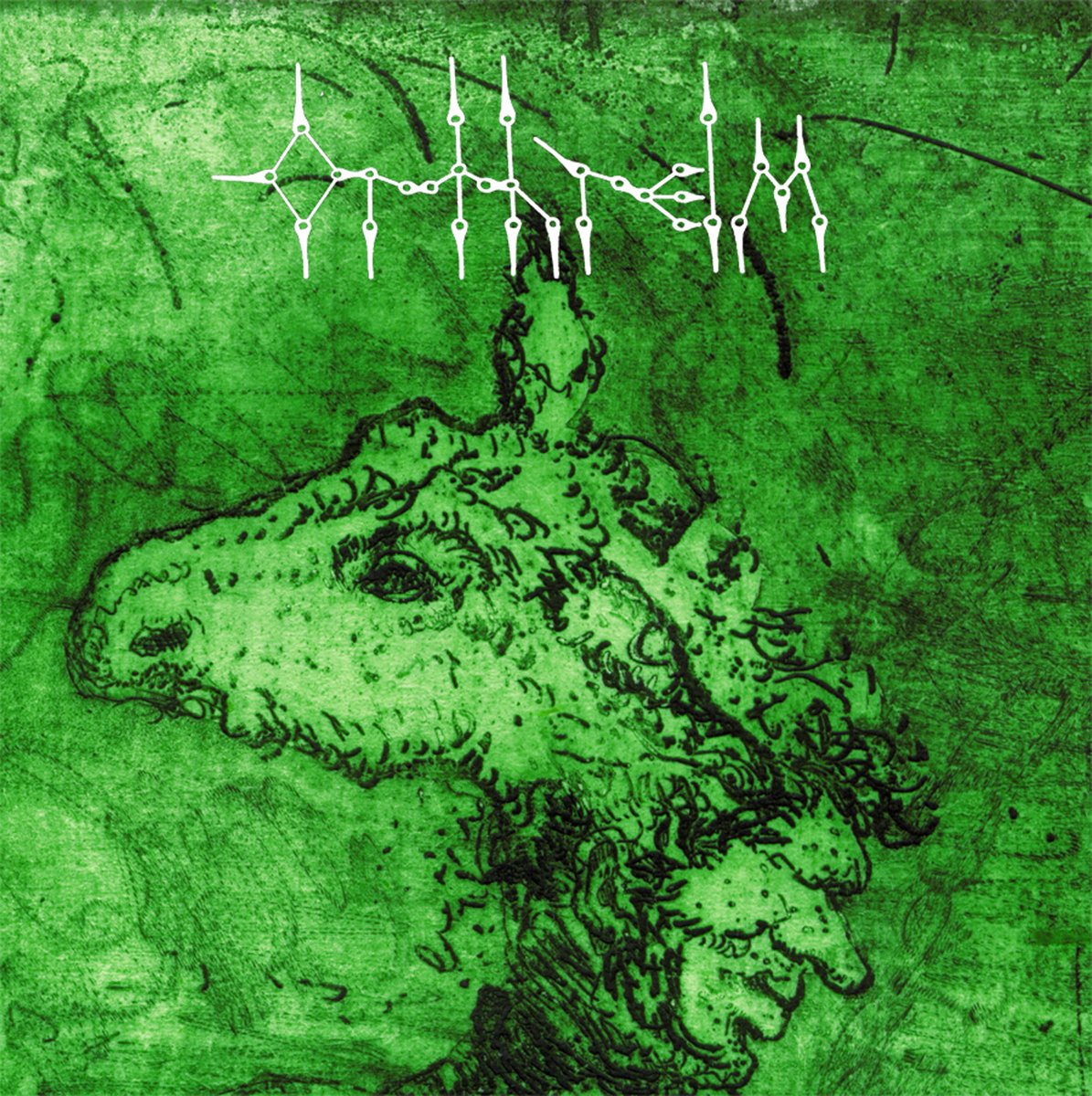 Orthrelm — Ov